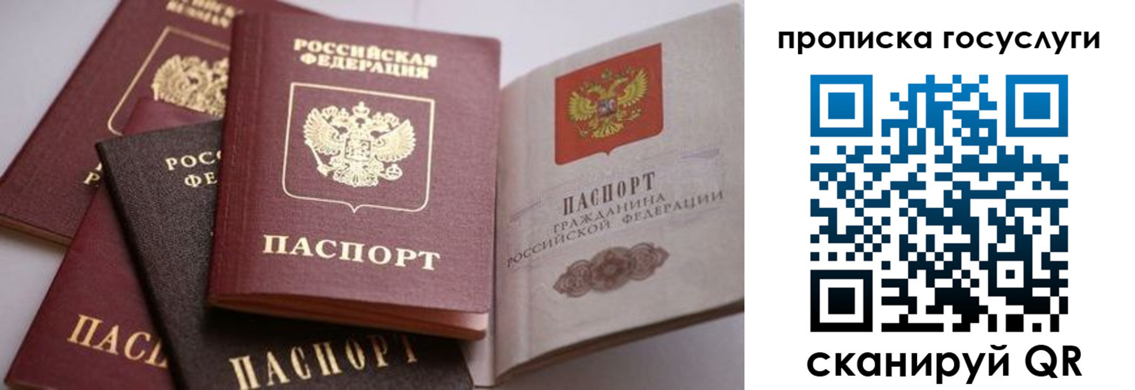 прописка иностранных граждан в Борисоглебске